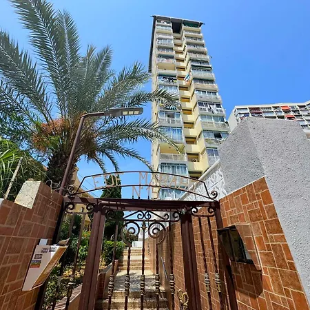 Marabu * 貝尼多姆